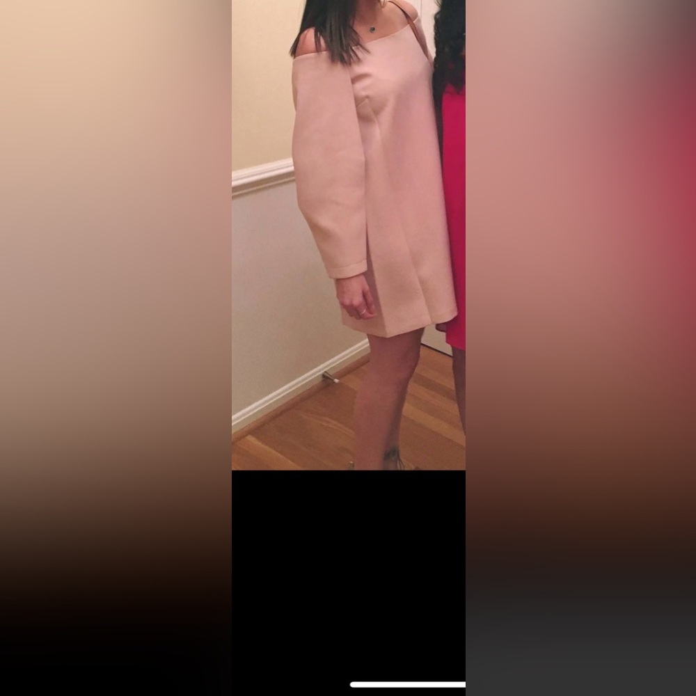 BCBGmaxazria Yesenia Blush Pink Dress
